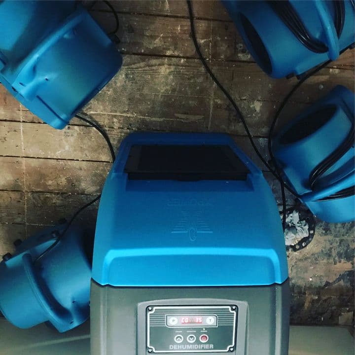 Carpet Cleaning, Tile & Floor Care